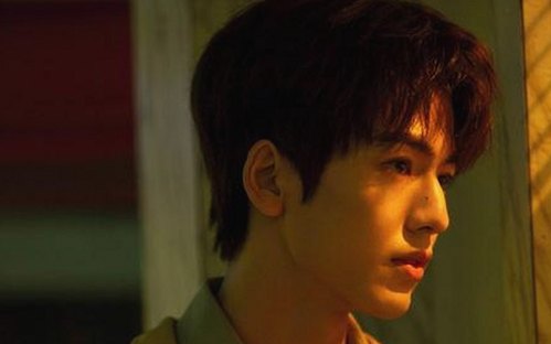 国产网站大揭秘：从影视资源到网络事件的多面观察